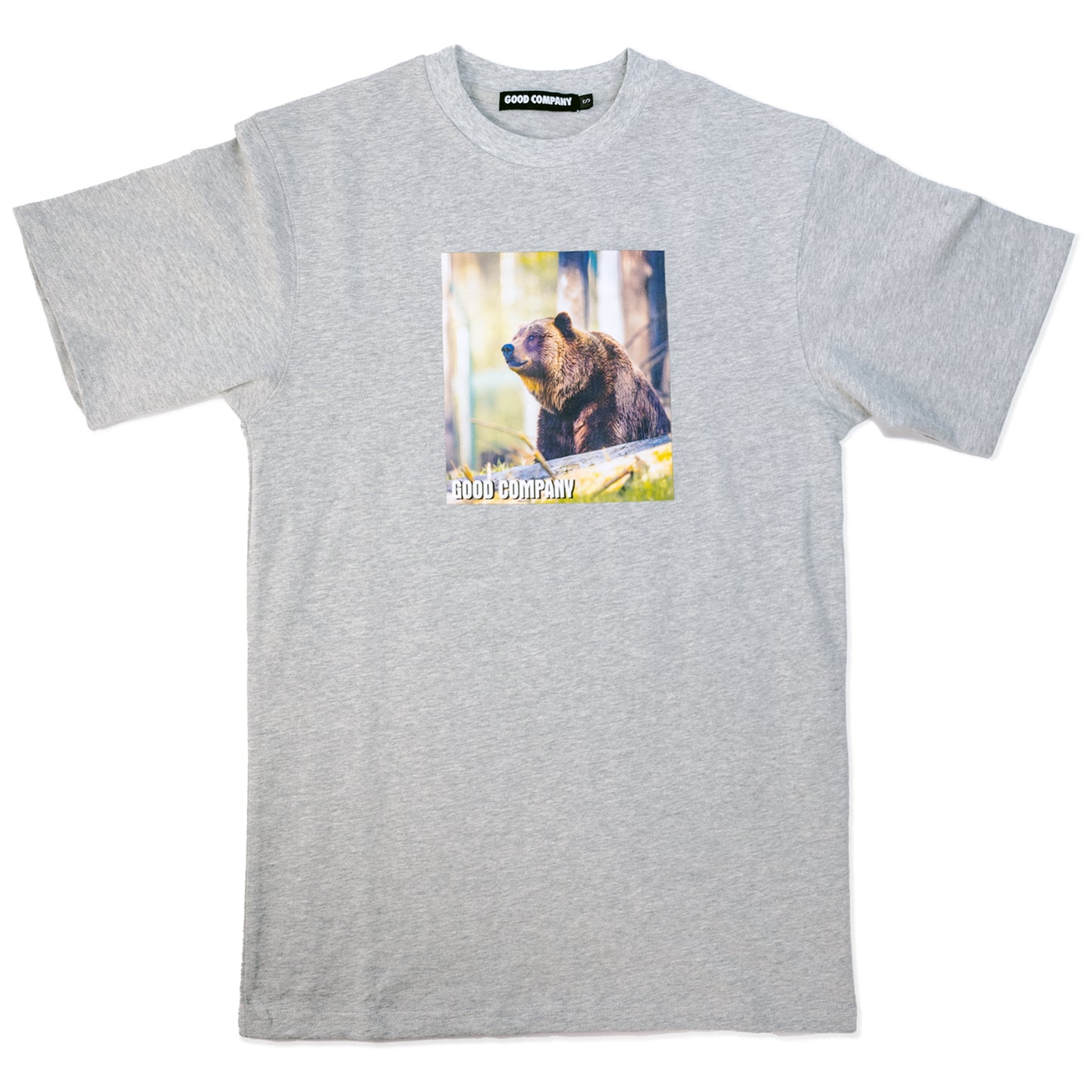 Nature Bear Gray